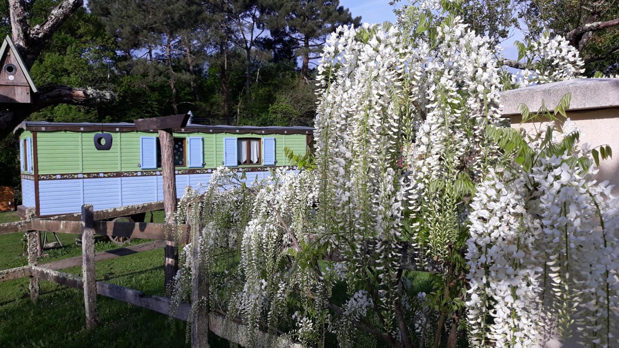Roulotte Fleur Des Champs Villa Sigalens Eksteriør bilde